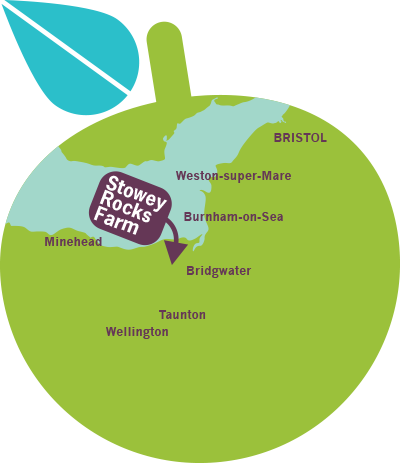 Find Plowright Organic Somerset