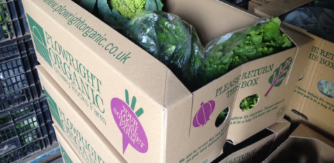 New plowright organic veg box design, Bristol, Weston super Mare