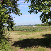 Stowey Rocks Farm