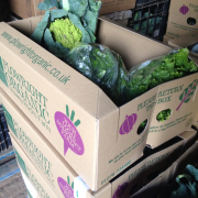 New plowright organic veg box design, Bristol, Weston super Mare