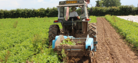 Stowey Rocks Farm