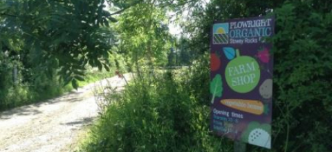 Plowright Organic Farm Shop